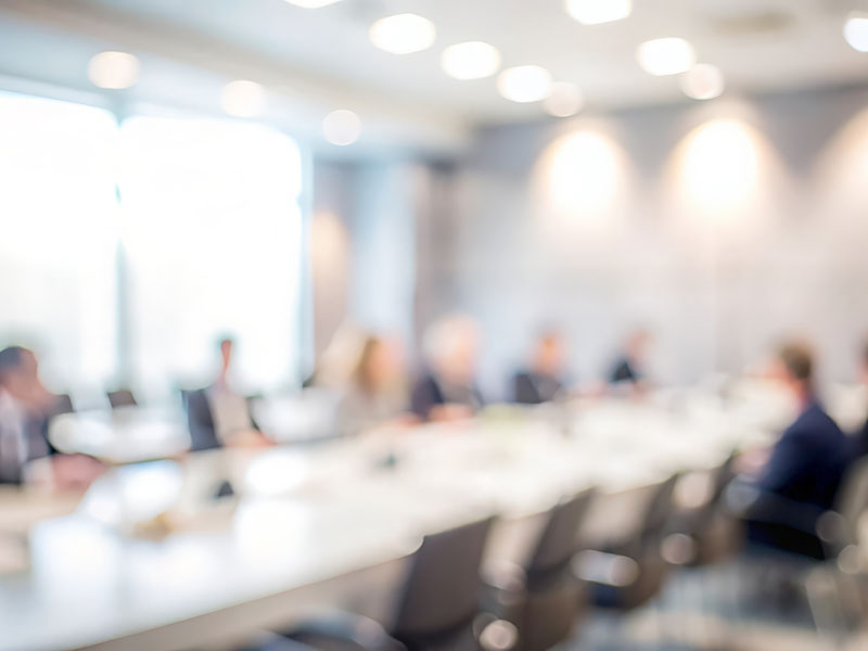 Board of Directors appointed